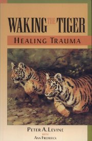 Click to visit Book: Waking The Tiger