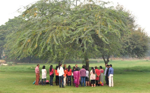 Extra workshop Under The Tree